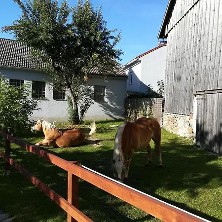 Apartamento In Mit Grosser Terrasse *
